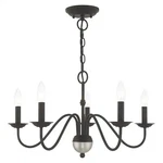 Livex Lighting 52165-04 Windsor Black Chandelier. Fixed Price $229.90.