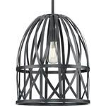 Progress Lighting P500343 Chastain 14"W Pendant - Cerused Black Oak. Fixed Price $255.99.