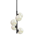 Dainolite GVA-175P Giovanna Light 11"W Multi Pendant Matte Black /. Fixed Price $630.00.