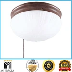 Westinghouse 2 Light Ceiling Fixture Sienna Interior Flush Mount With Pull Chain. Fixed Price $37.99.