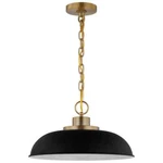 Satco Colony 100-WATT 1-LIGHT Matte Black/burnished Brass Shaded Pendant. Fixed Price $41.99.