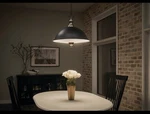 Kichler 1048251 Light Hanging Pendant Antique Bronze Matte Black 36". Fixed Price $119.49.