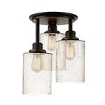 Globe Electric 65904 Semi-flush Mount Ceiling Light Oil-rubbed Bronze. Fixed Price $64.00.