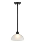 Millennium Lighting 2811-MB Amberle 10" Wide Pendant Fixture. Fixed Price $50.00.
