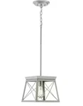 Progress Lighting Briarwood Collection 1-LIGHT Bleached Oak Mini Pendant. Fixed Price $20.99.