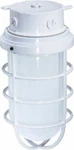 Nuvo 76-618 1-LIGHT 11" Industrial Style Surface Mount With Frosted Glass. Fixed Price $57.99.