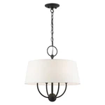 Livex Ridgecrest Light Pendant Chandelier, Black 49844-04. Fixed Price $359.98.