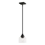Livex Aragon Light Mini Pendant, Black/clear Seeded 49761-04. Fixed Price $151.96.