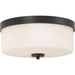 Nuvo Lighting 60/6331 Denver 2 13-5/8"W Flush Mount Drum Multicolor. Fixed Price $97.99.