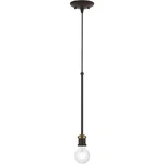 Livex Lighting 47161-07 Lansdale Pendant Bronze With Antique Brass Accents. Fixed Price $85.96.