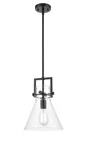 Innovations Newton 10" Light Mini Pendant, Amber/black/cone 411-1S-BK-10CL. Fixed Price $271.00.