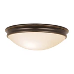 Access Lighting 20725 Bronze Atom 2-LIGHT Flush Mount Ceiling Fixture. Fixed Price $59.20.