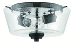 Grace 2-LIGHT Ceiling Espresso. Fixed Price $92.25.