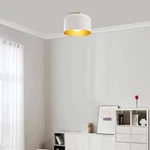 Globe Electric 65868 Amy 1-LIGHT Matte White Flush Ceiling Inner Glass. Fixed Price $25.00.