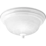 Progress Lighting P3925-30 Alabaster Flush Mount Textured White New. Fixed Price $24.99.