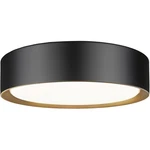 Z-lite 1014F12-MB-MGLD-LED Kawan Flush Mount Matte Black And Modern Gold. Fixed Price $196.00.
