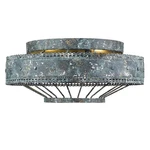 Golden Ferris 2-LIGHT 14" Ceiling Blue Verde Patina. Fixed Price $190.00.