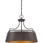 Fairview 4 Light Pendant -traditional Installation Quoizel. Fixed Price $699.99.