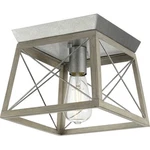 Progress Lighting P350022 Briarwood 10"W Flush Mount Ceiling - Galvanized Finish. Fixed Price $43.01.