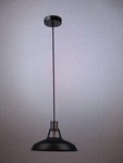 Globe Robin 1-LIGHT Satin Black Pendant 65712. Fixed Price $33.96.