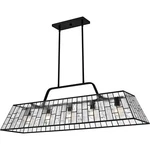 Quoizel QLC6176 Rainier 5 Light 48"W Linear Chandelier - Black. Fixed Price $997.99.
