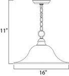 Maxim 91076 1-LIGHT 16"W Pendant From The Essentials 9106X Collection. Fixed Price $84.00.