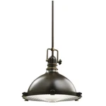 Kichler 2666OZ Hatteras Bay 1-LIGHT 13.25" Pendant In Olde Bronze. Fixed Price $529.99.