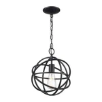 Hdc Sarolta Sands 1-LIGHT Black Mini Pendant Fixture With Caged Orb Metal. Fixed Price $24.99.