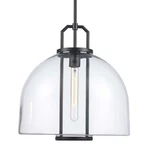 Trans Globe Lighting PND-2231 Rhapsody 16"W Pendant Black. Fixed Price $247.00.