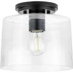 Progress Lighting P350213 Adley 9"W Semi-flush Bowl Ceiling Black. Fixed Price $69.99.