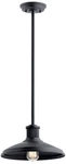 Kichler Allenbury 12" Black Finish Industrial Outdoor Ceiling Light. Fixed Price $203.99.