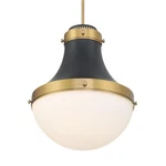 Minka Lavery 3934-876 Pendants Indoor Lighting. Fixed Price $244.50.