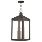 Livex Lighting Nyack 3 Outdoor Pendant Lantern Black 20587-04. Fixed Price $649.96.