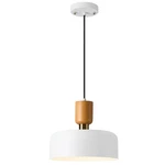 Tehenoo Modern Pendant LIGHT,12 Inch,natural Wood And Brass Accent,adjustable.... Fixed Price $89.58.