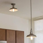 Kimball Indoor Ceiling Light Galvanized Paint. Fixed Price $55.63.