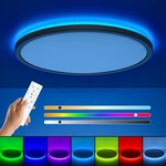 Rgb Flush Mount Led Ceiling Light Remote 12 Inch 3000K-6500K Dimmable 24W. Fixed Price $73.40.