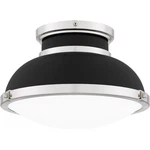 Quoizel QFL6184 Tobias 2 Light 14"W Semi-flush Ceiling Fixture Black. Fixed Price $259.99.
