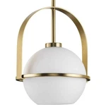 Progress Lighting Delayne 12.37 In. 1-LIGHT Brushed Bronze Pendant. Fixed Price $50.00.
