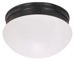 Nuvo Lighting 60/2643 8"W Flush Mount Bowl Ceiling - Multicolor. Fixed Price $31.99.