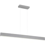 Access Lighting 24900LEDD-GRY/ACR Form Dual Pendant Gray. Fixed Price $341.44.