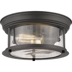 Z-lite 727F10-BRZ Sonna Light 11 Inch Bronze Flush Mount Ceiling. Fixed Price $136.00.
