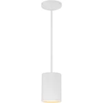Access Lighting 29000LEDDLP-MWH Pilson Pendant Matte White. Fixed Price $118.00.