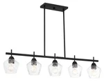 Minka Lavery 2174-66A Chandeliers Indoor Lighting. Fixed Price $78.40.