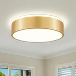 Dimmable Gold Led Ceiling Light, 2700K-6000K 5CCT One Modern Flush Mount C.... Fixed Price $86.73.