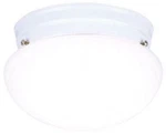 Westinghouse 6669900 One-light Indoor Flush-mount Ceiling Fixture. Fixed Price $38.07.
