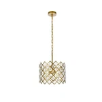 Elegant Lighting Lyla 13" Pendant, Brass - 1111D13BR. Fixed Price $119.99.