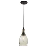 Home Decorators 1-LIGHT Black Mini Pendant With Tinted Glass Shade 17221 New. Fixed Price $59.99.
