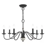 Livex Lighting 52167-04 Windsor Black Chandelier. Fixed Price $287.90.