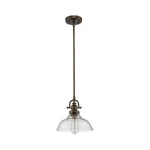 Acclaim Lighting IN21147ORB Virginia Pendant Oil Rubbed Bronze. Fixed Price $140.00.