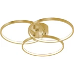 Afx Inc. ORIF20L30D1SB Orion Led Inch Satin Brass Flush Mount Ceiling Light. Fixed Price $237.60.